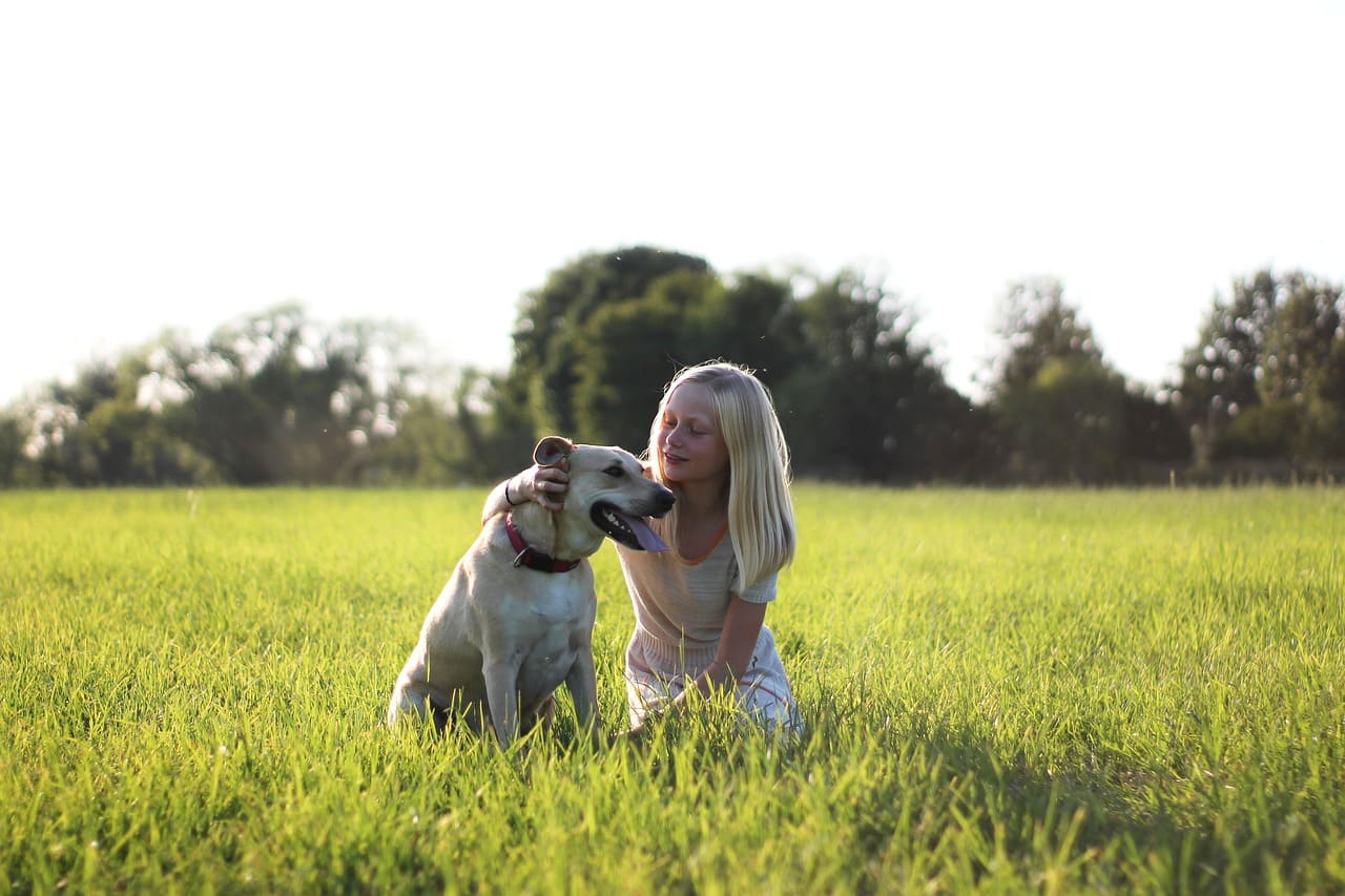 child, dog, nature